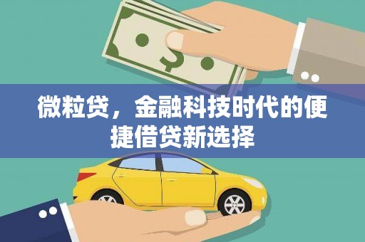 青阳微粒贷，金融科技时代的便捷借贷新选择