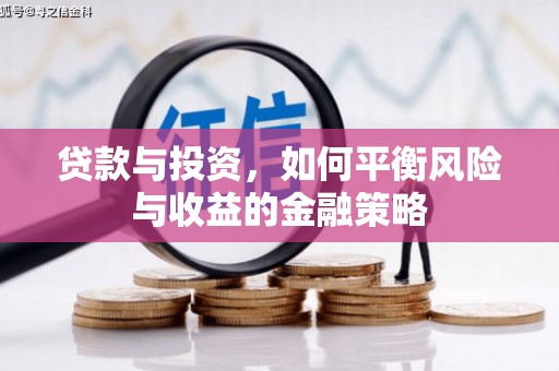 兰西贷款与投资，如何平衡风险与收益的金融策略