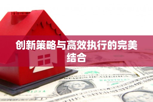 萍乡创新策略与高效执行的完美结合