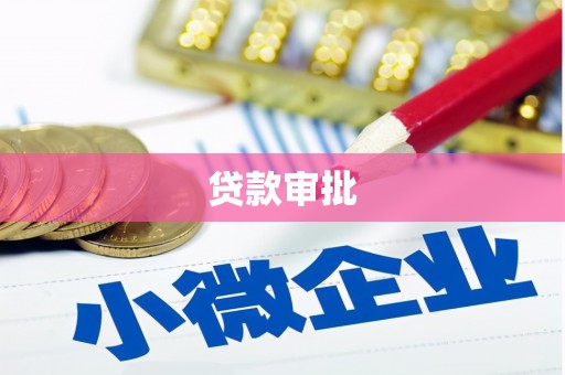 大名贷款审批