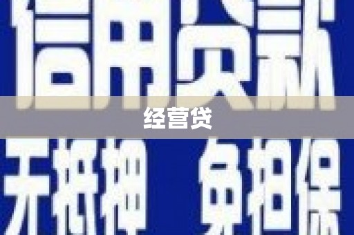 称多经营贷